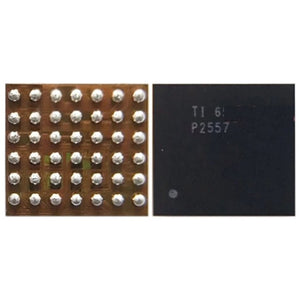 Audio IC Module P2557, P2557 - ORIWHIZ