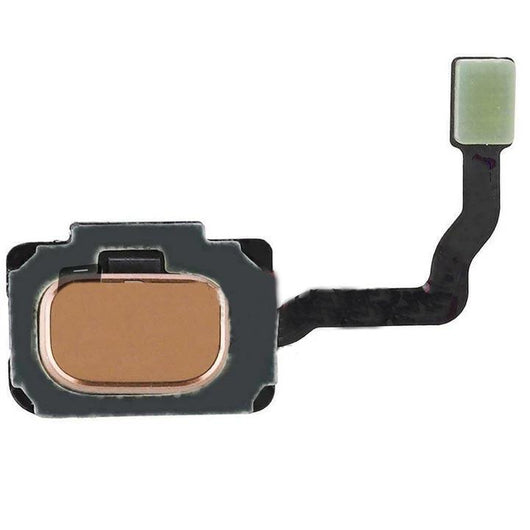 For Samsung S9 Home Button Flex Module Sunrise Gold - Oriwhiz Replace Parts